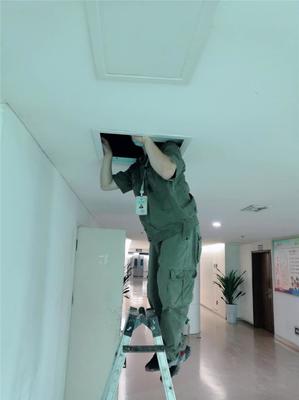 專業滅鼠，守護健康——廣漢工廠滅鼠服務咨詢與信息指南